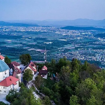 Апартаменти Orhidea